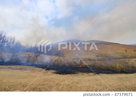 Akiyoshidai Yamayaki 2022 87379071