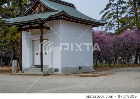 Mikuriya Shrine in Akashi City, Hyogo Prefecture, famous for its plum grove 87379209