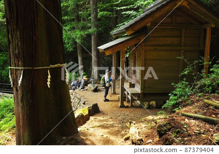 伊勢原市,前往小山山路途中的雙人公司,信徒和新鮮的綠色植物 伊勢原市,前往小山山路途中的雙人公司,信徒和新鮮的綠色植物 87379404