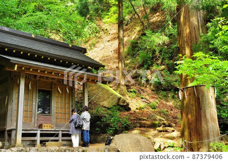 伊勢原市,前往小山山路途中的雙人公司,信徒和新鮮的綠色植物 伊勢原市,前往小山山路途中的雙人公司,信徒和新鮮的綠色植物 87379406