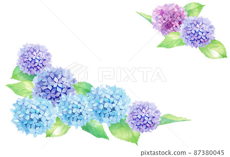 Summer flowers: watercolor illustration of hydrangea. Two-corner decorative frame. Summer flowers: watercolor illustration of hydrangea. Two-corner decorative frame. 87380045