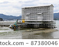 Miyajima Reiwa's major renovation 87380046