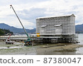 Miyajima Reiwa's major renovation 87380047