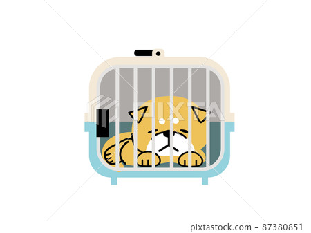 Shiba Inu is weakened by being trapped in a narrow crate 87380851