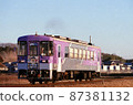 Hojo Railway Flower 2000 87381132