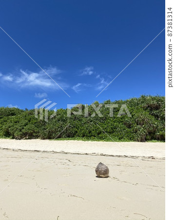 南島的風景 87381314