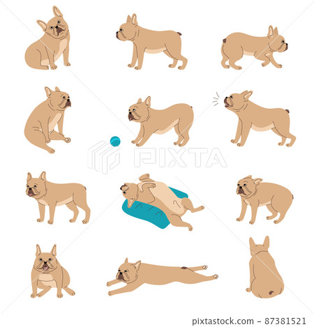 Dogs Emotions Set 87381521