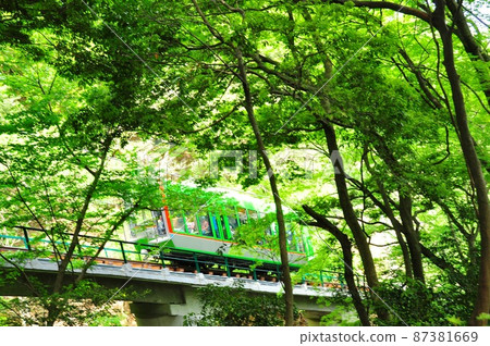 Isehara City Oyama Cable Car and Fresh Green 87381669