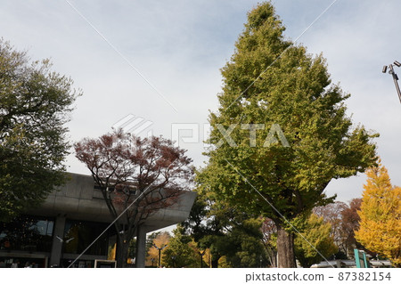 Scenery of Ueno Park Exit of JR Ueno Station, Taito-ku, Tokyo Scenery of Ueno Park Exit of JR Ueno Station, Taito-ku, Tokyo 87382154