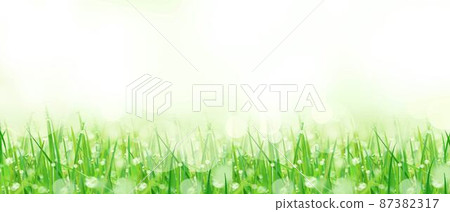 春青草，美麗的露珠反射光，清新的白色背景模糊的綠色簡單插圖素材 87382317