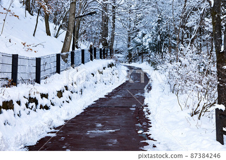 東京西多摩郡日野原村東京市民森林中的山路和雪景 87384246