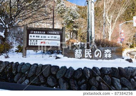 東京都西多摩區檜原村 東京市民之森的雪景 87384256
