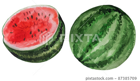 Slice of red juicy watermelon. Watercolor tropical fruit illustration 87385709