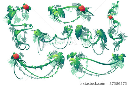 Jungle creeper plants, lianas with flowers 87386373