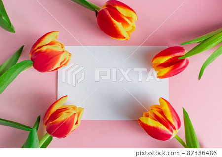 Fresh tulips bouquet and greeting card on pink background. Happy easter. Fresh tulips bouquet and greeting card on pink background. Happy easter. 87386486
