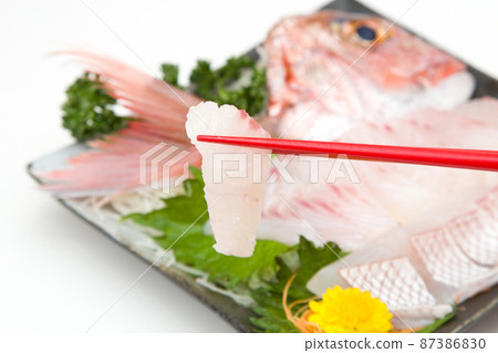 Manufacture of red snapper Manufacture of red snapper 87386830