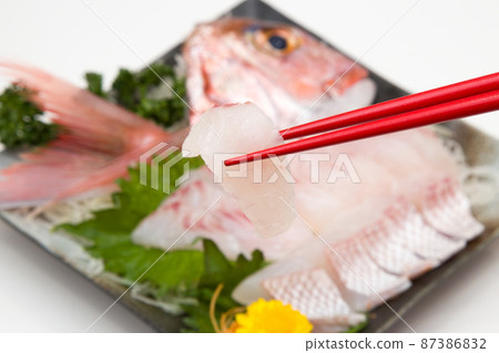 Manufacture of red snapper Manufacture of red snapper 87386832