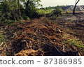 Deforestation and shredding of vegetation 87386985