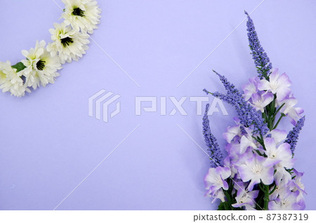 薰衣草春天的形象 薰衣草春天的形象 87387319