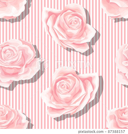 Cream pink roses seamless vector pattern with vertical stripes background Cream pink roses seamless vector pattern with vertical stripes background 87388157