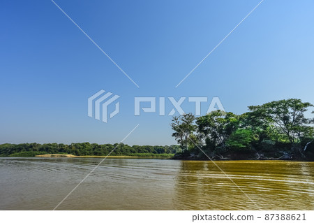 Pantanal forest ecosystem, Mato Grosso, Brazil Pantanal forest ecosystem, Mato Grosso, Brazil 87388621