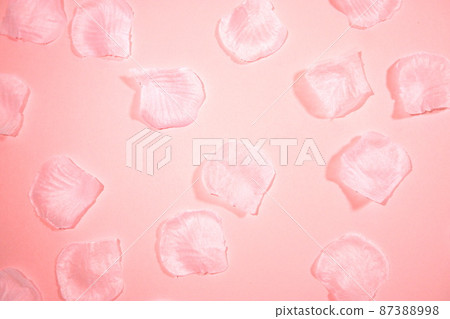 Cherry blossom petal background 87388998