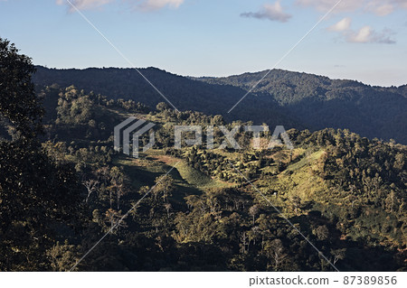 Beautiful mountain landscape of Doi Chang hill 87389856