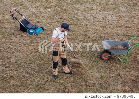 Scarifying lawn with rake and scarifier, Man gardener scarifies the lawn and removal of old grass Scarifying lawn with rake and scarifier, Man gardener scarifies the lawn and removal of old grass 87390493