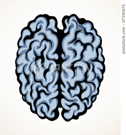 Brain. Vector drawing icon sign Brain. Vector drawing icon sign 87390878