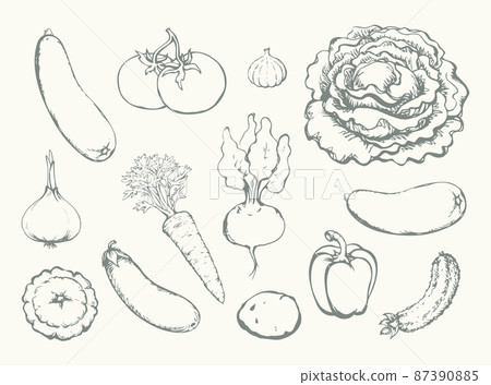 Vegetables set. Vector drawing food object 87390885