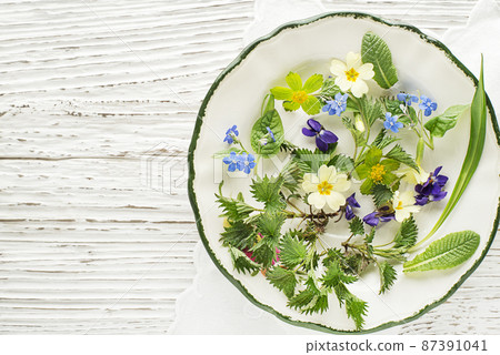Healthy spring plants 87391041