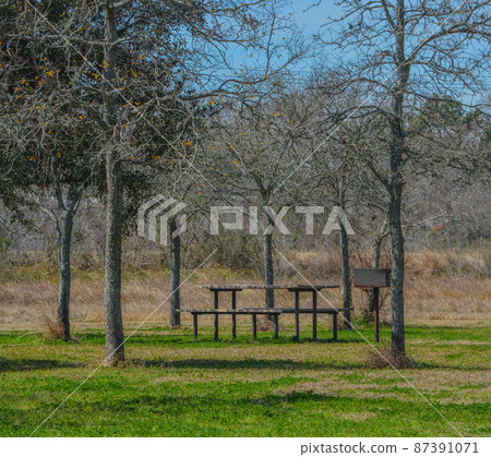 The Carl Parks Picnic Area on the Tres Palacios River in El Campo, Matagorda County, Texas The Carl Parks Picnic Area on the Tres Palacios River in El Campo, Matagorda County, Texas 87391071