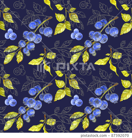 Plant seamless pattern. Outline and fill branches and berries on navy blue. Watercolor illustration Plant seamless pattern. Outline and fill branches and berries on navy blue. Watercolor illustration 87392070