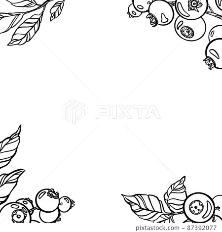 Berries Greeting card. Outline plant drawing. Invitation, menu, frame Berries Greeting card. Outline plant drawing. Invitation, menu, frame 87392077