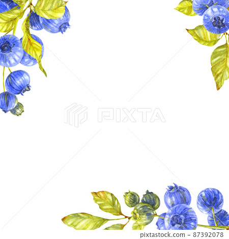 Blueberry greeting card. Berries and leaves. Watercolor illustration Blueberry greeting card. Berries and leaves. Watercolor illustration 87392078