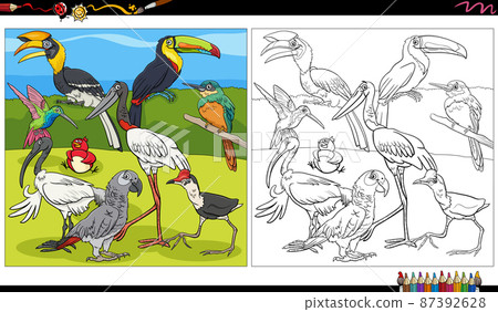 cartoon birds animal characters group coloring book page cartoon birds animal characters group coloring book page 87392628