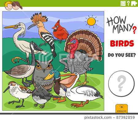 how many birds educational cartoon game for children 87392859
