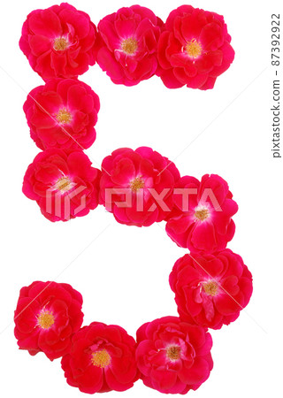 Number five laid out by roses on a white background Number five laid out by roses on a white background 87392922