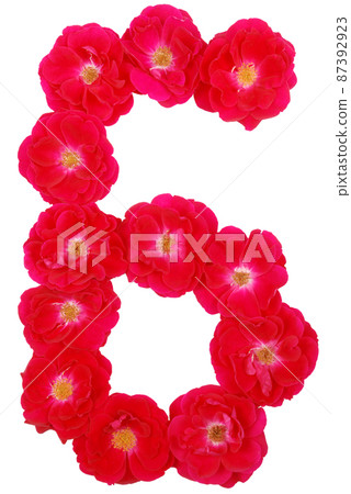 Number six laid out by roses Number six laid out by roses 87392923