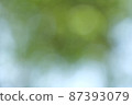 Blurred bokeh of green tree leaves movement with the wind pattern texture for nature background concept 87393079