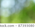 Blurred bokeh of green tree leaves movement with the wind pattern texture for nature background concept 87393080