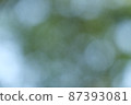 Blurred bokeh of green tree leaves movement with the wind pattern texture for nature background concept 87393081