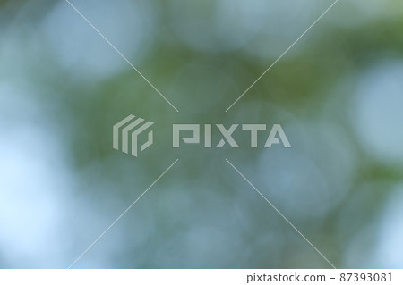 Blurred bokeh of green tree leaves movement with the wind pattern texture for nature background concept 87393081