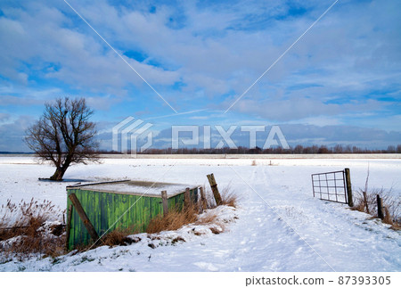 Shed and solitary tree in a snow covered landscape Shed and solitary tree in a snow covered landscape 87393305