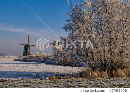 Riped trees in front of the windmill Broekmolen 87393306