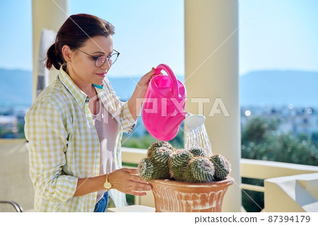 Gardening of a balcony, terrace, porch, a woman waters cactus plants from a watering can 87394179