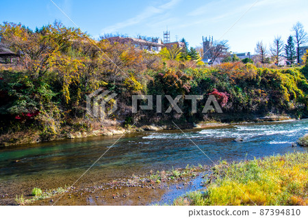 City of Trees Sendai Late Autumn Hirose River Autumn leaves on the upper left bank of Genbei Fuchi City of Trees Sendai Late Autumn Hirose River Autumn leaves on the upper left bank of Genbei Fuchi 87394810
