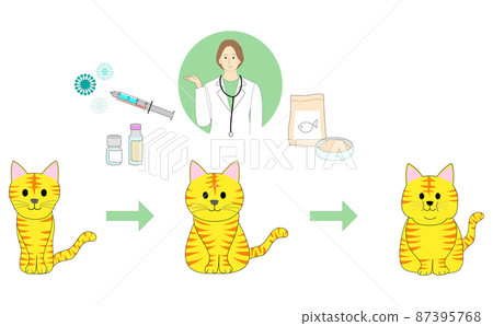 A set of lean tabby cats, ordinary cats, fat cats and female vets. 87395768