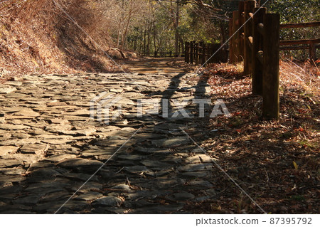 鵝卵石街道 鵝卵石街道 87395792