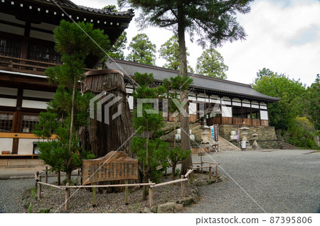 和歌山縣板瀧曾神社 和歌山縣板瀧曾神社 87395806
